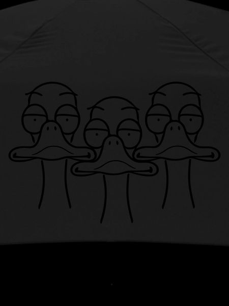 Three funny ducks