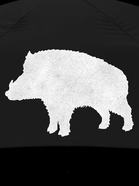 Wild boar