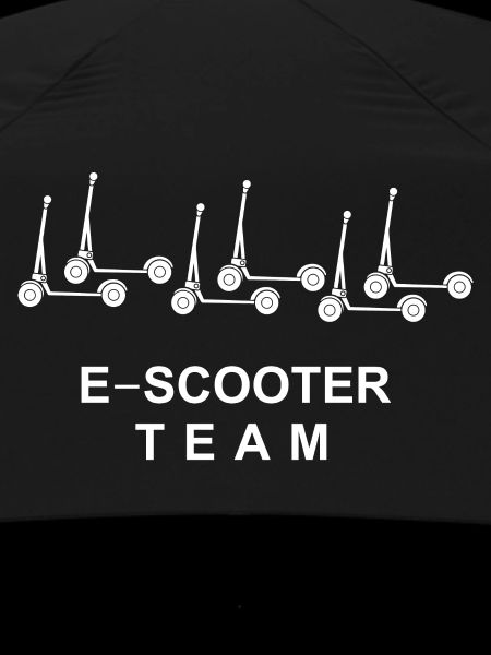 E-Scooter E-Roller Scooter