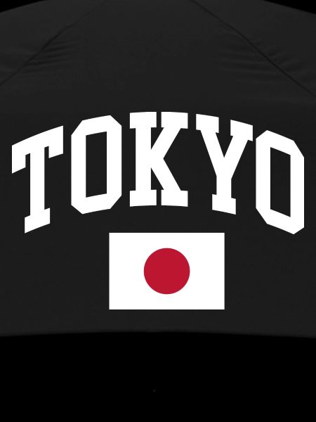 Tokyo Japan Flag