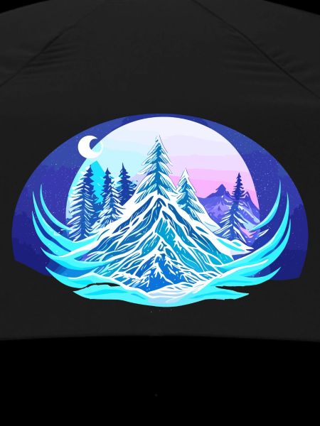 Winter night