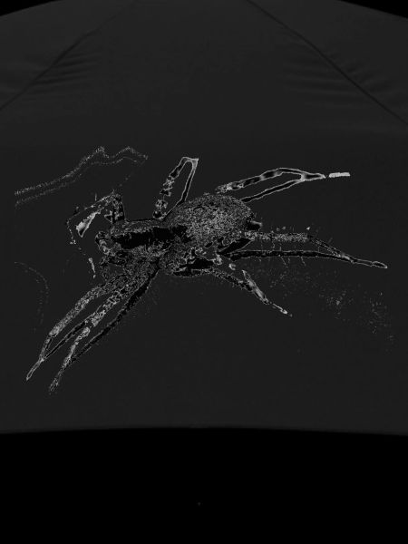 Spider, A731400