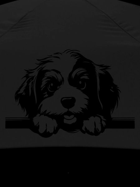 Havanese