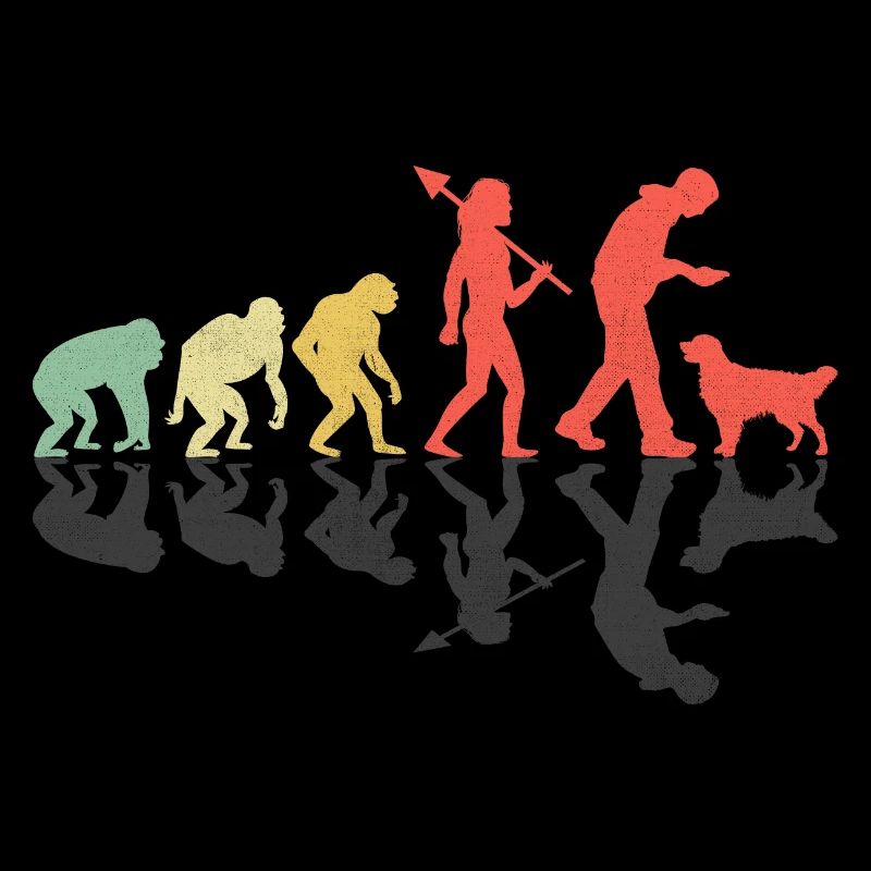 Evolution Golden Retriever GR Dog Retrievers