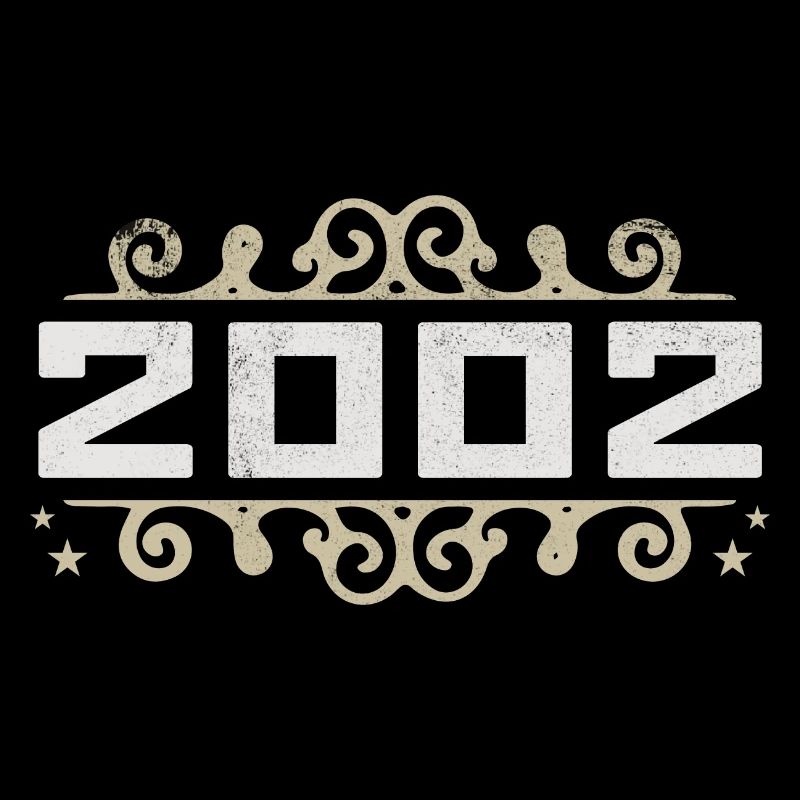 Vintage 2002 Retro Birthday 2002 Vintage 2002