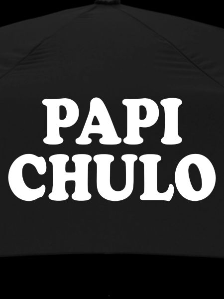 Papi chulo
