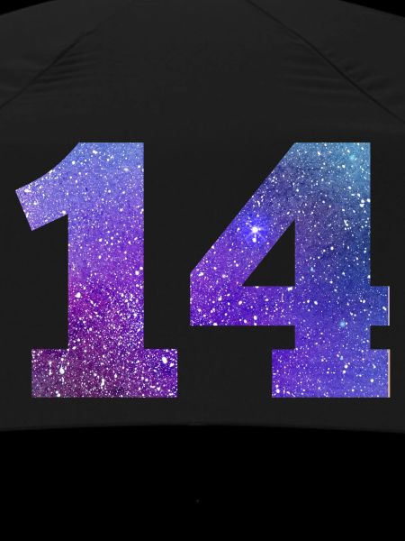 Number 14 galaxy