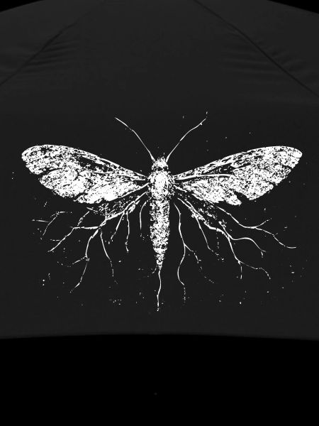 Electrified Moth