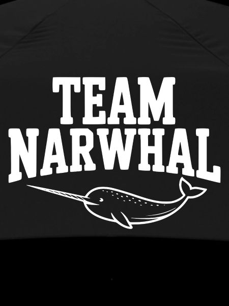 Team Narwhal