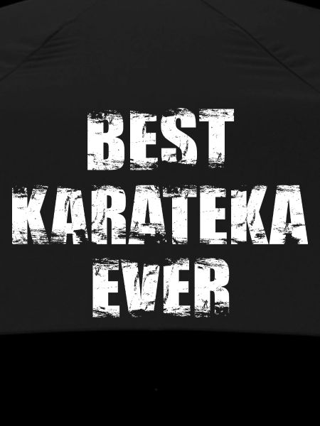Best Karateka of All Time