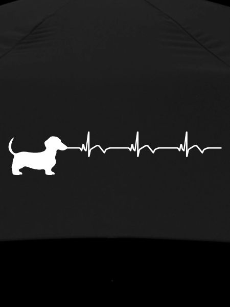 Dachshund ECG Heartbeat