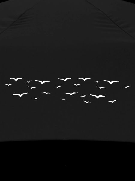 oiseaux