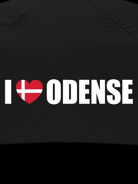 I love Odense Denmark