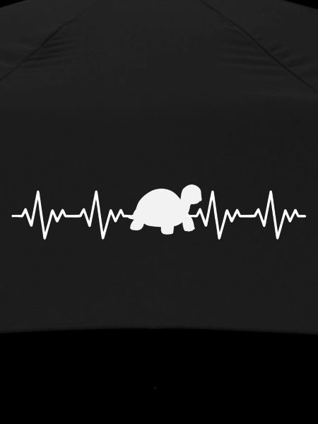 Tortoise ECG heartbeat