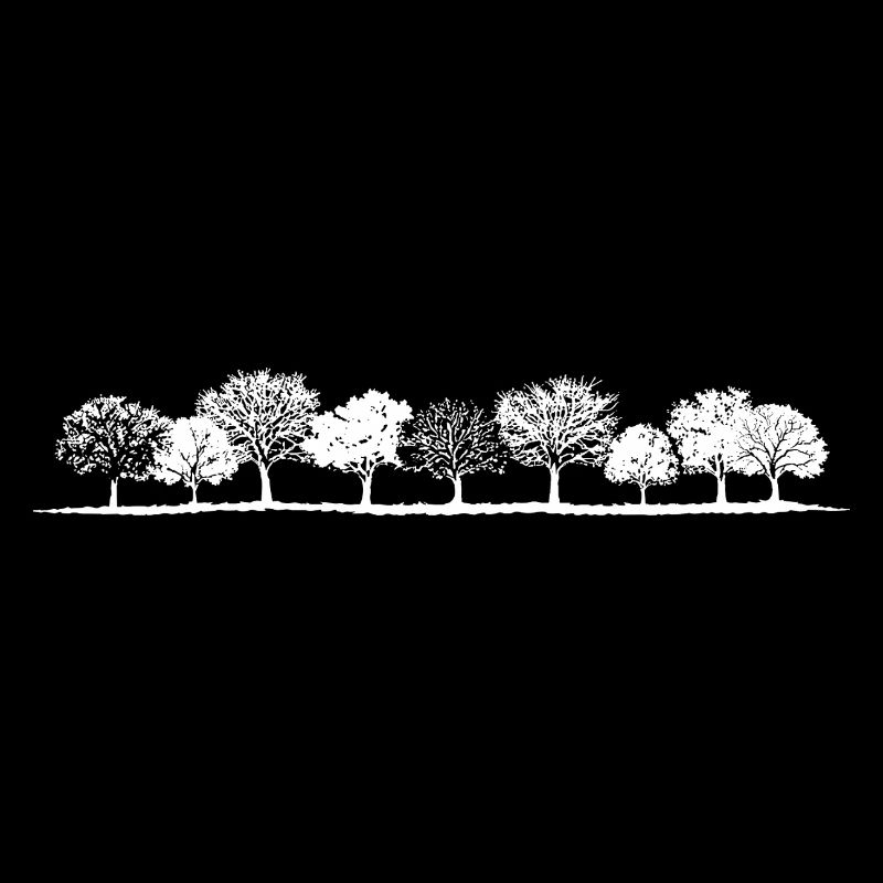 Rangée d’arbres forestiers intemporelle – Nature minimaliste