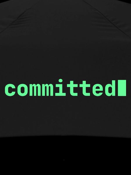 Feeling Committed | Developer mood 