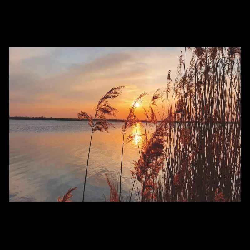 coucher de soleil soleil paysage Sky