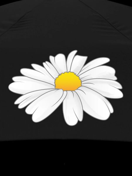 Daisy - Flower