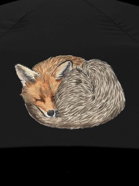 sleeping curled red fox
