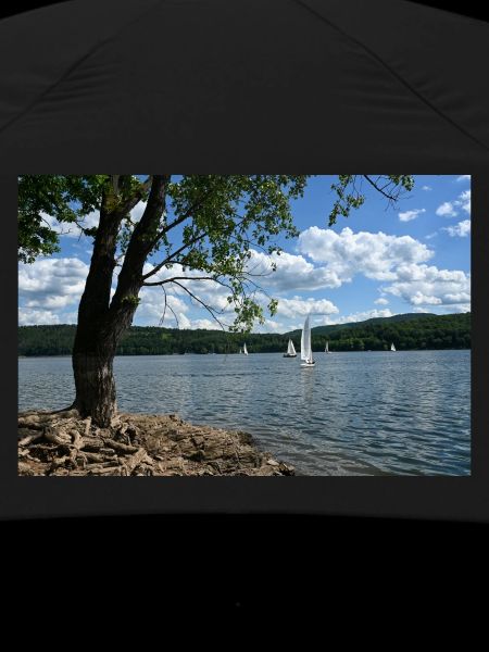 Lake Idyll