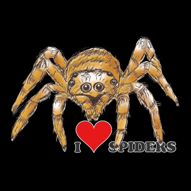 Spider, Halloween, Arachnophobia, Monster
