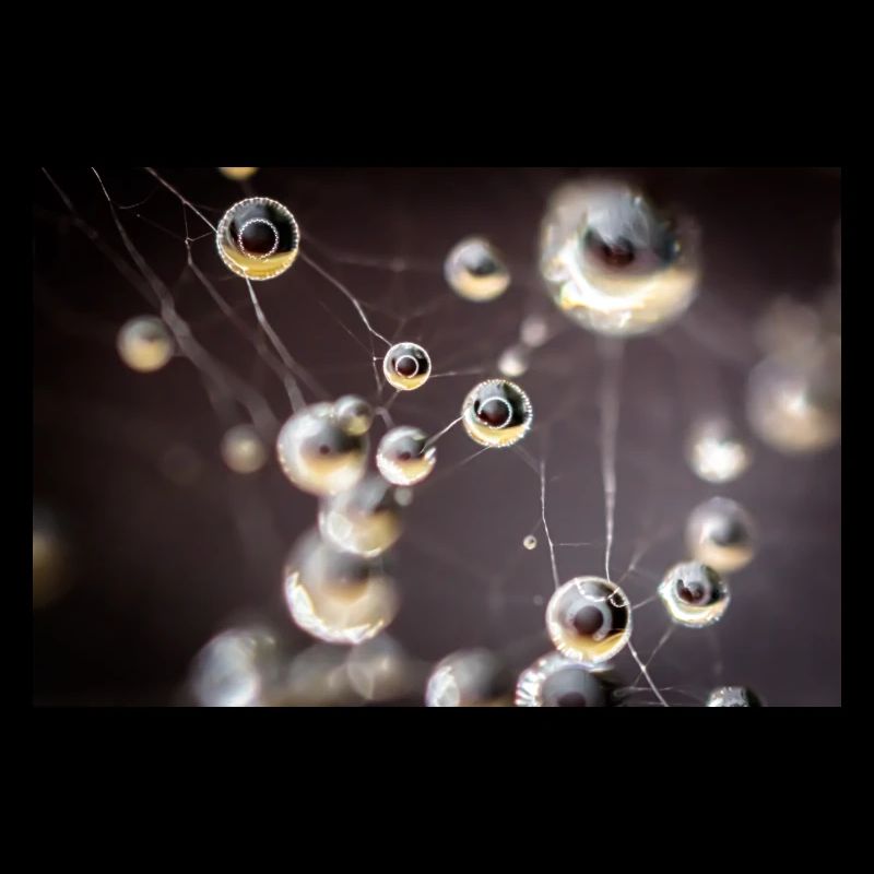 Droplets