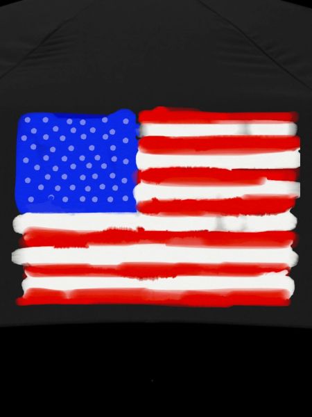 Painted American Flag
