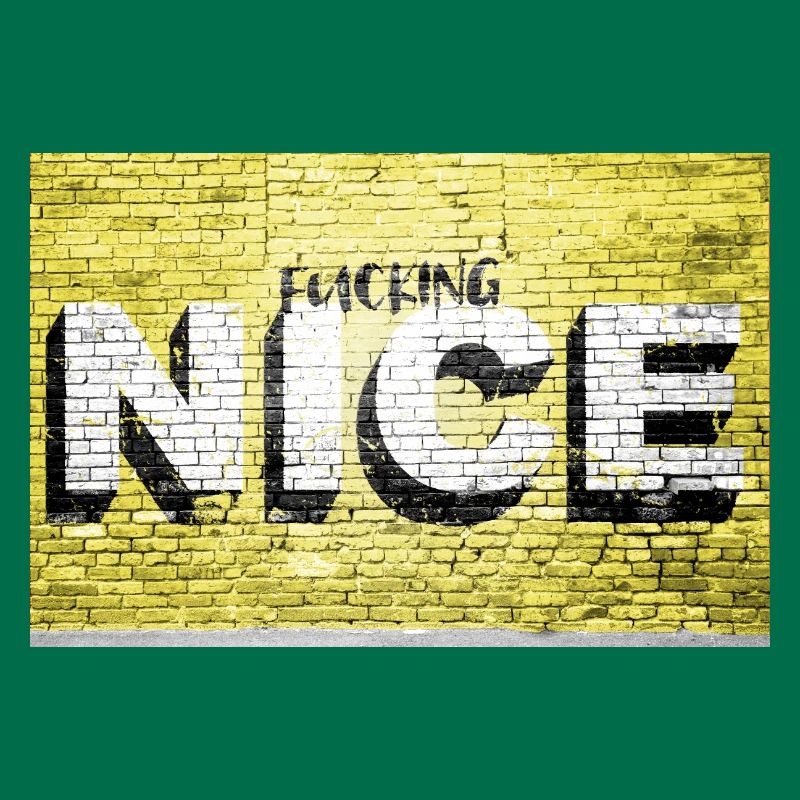 Fucking nice saying lettering Graffiti on Brick
