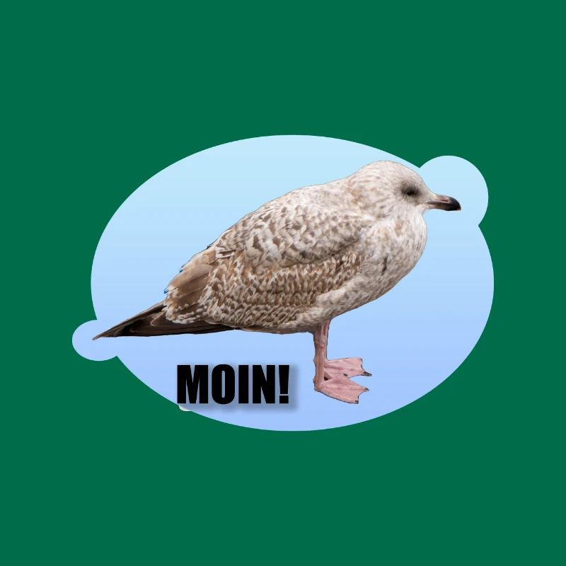 Möwe