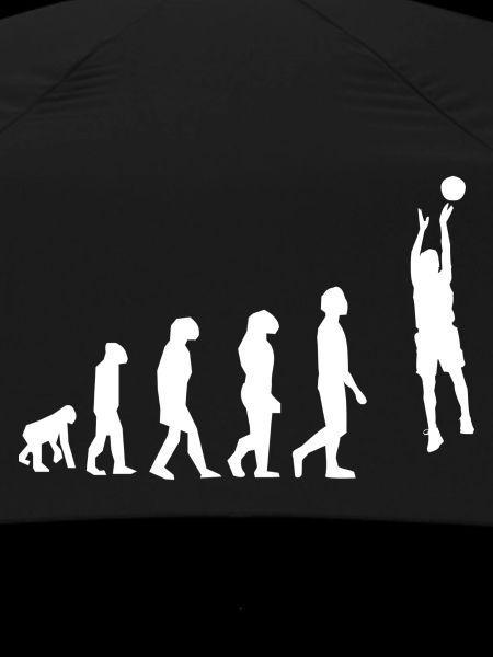 Basket évolution