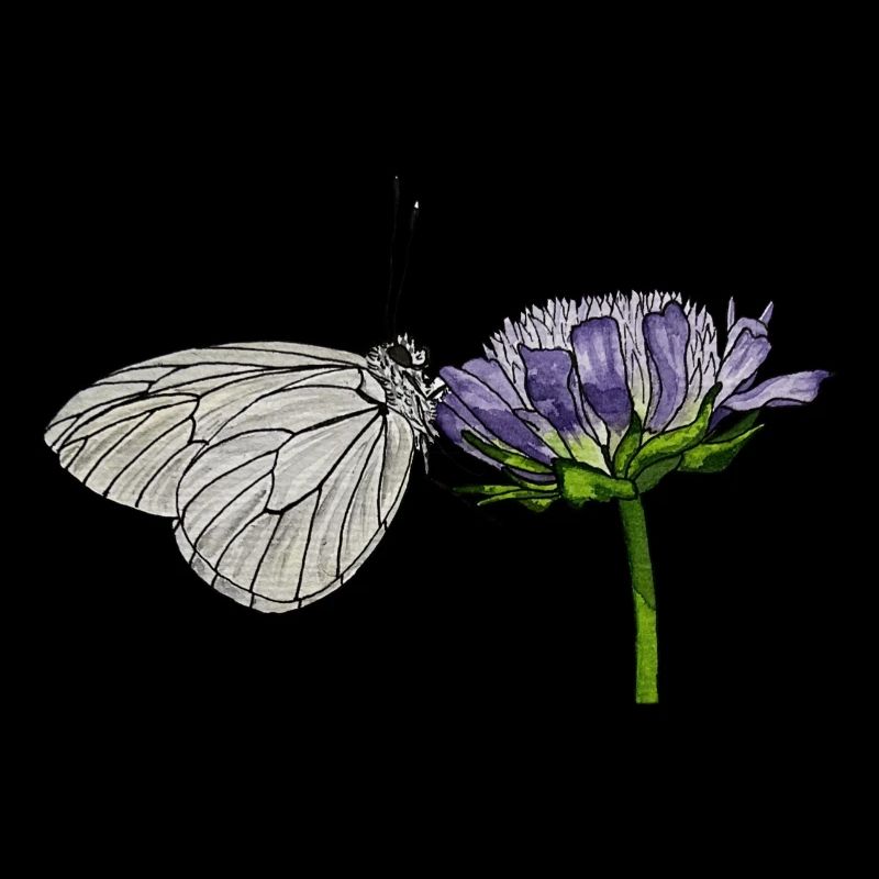 Papillon Fleur Arbre Blanc Entomologiste