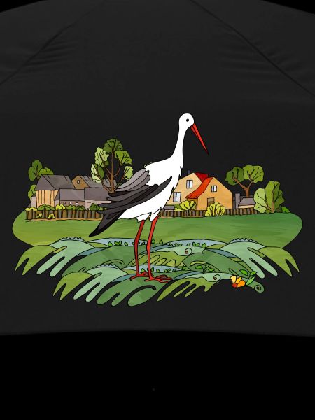 Stork bird
