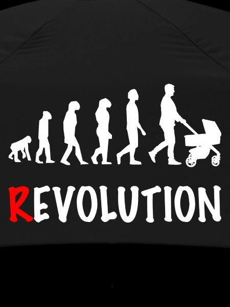 revolution daddy stroller birth