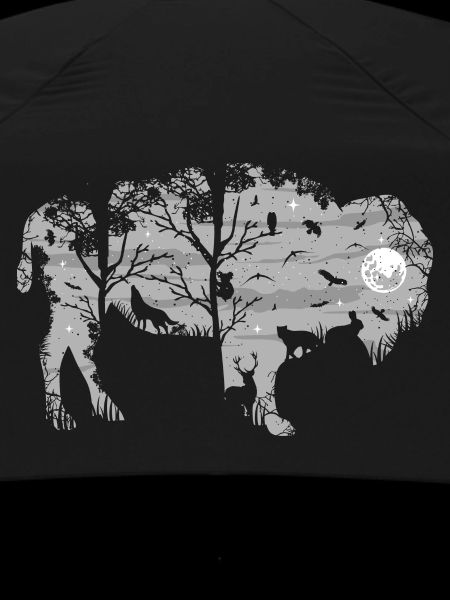 Wild Bison