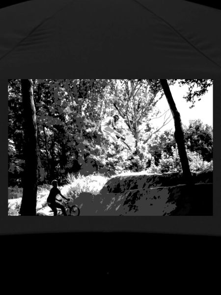 BMX