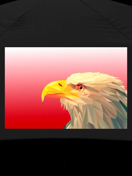 Aigle.