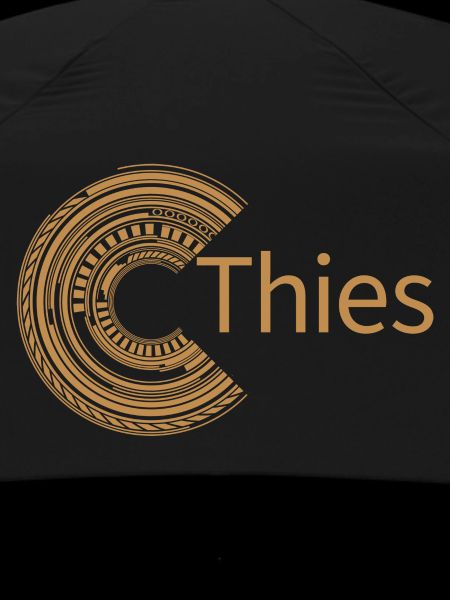 Pour Thiès