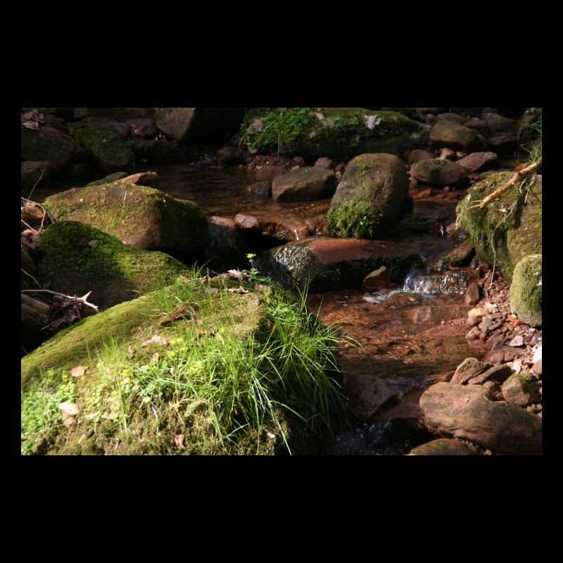 Black Forest Bächle