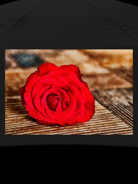 Red Rose