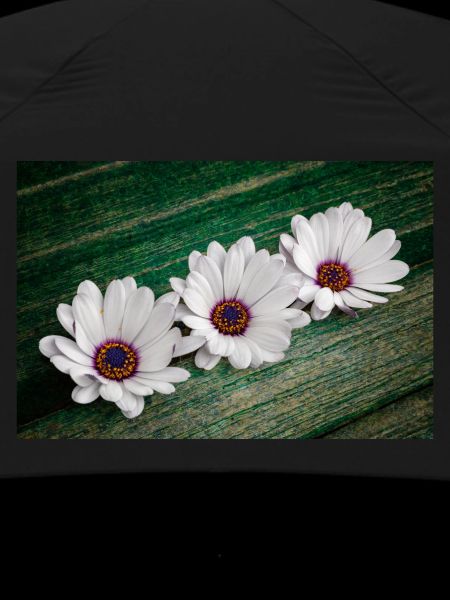 African Gooseflower
