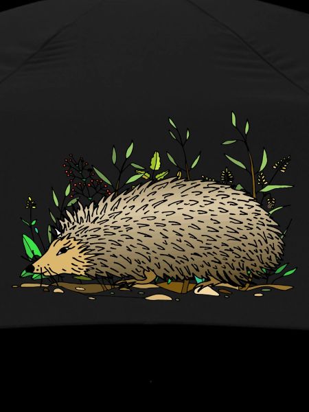 Hedgehog