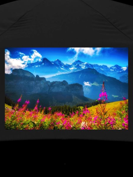 SUMMER ALPS