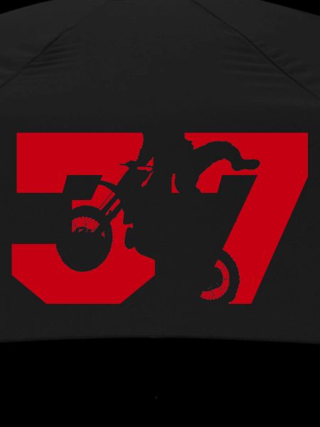 Moto 37 biker