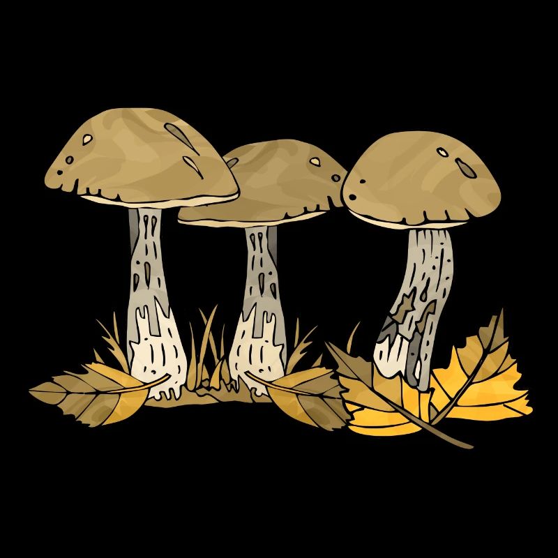 Mycètes
