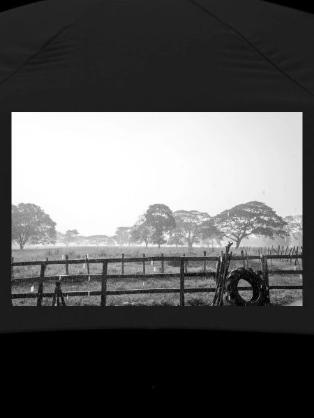 in the rain