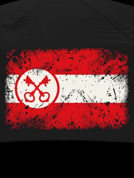 Leiden Flag