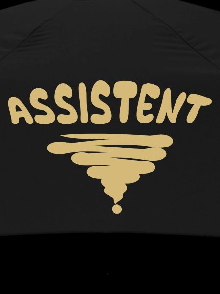 Occupation: Assistant