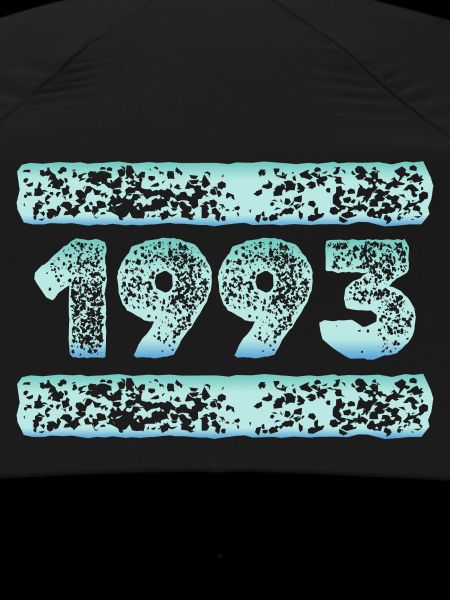 1993 1993