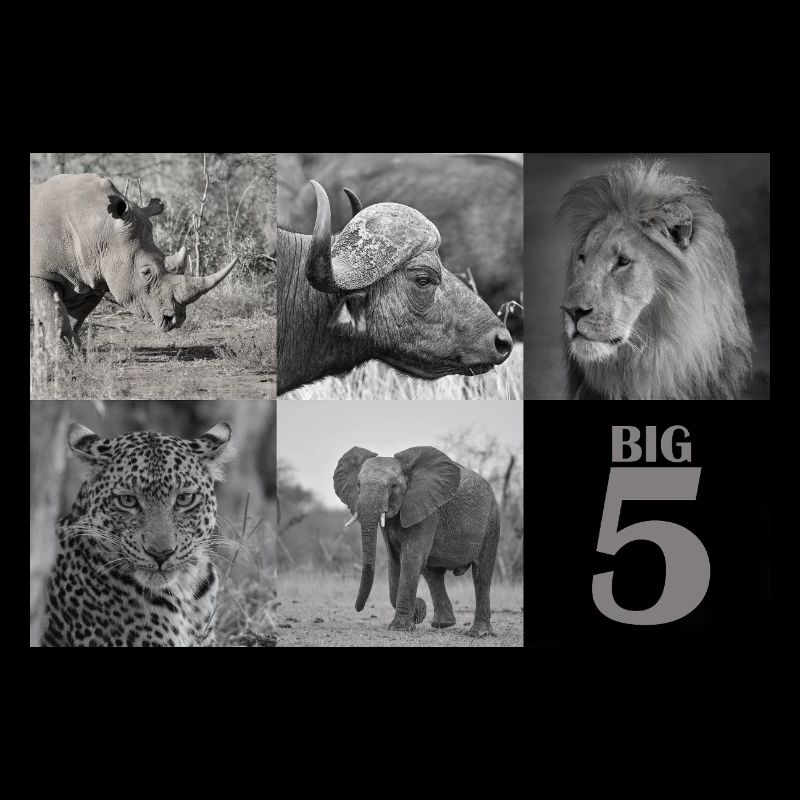 Afrikas Big 5