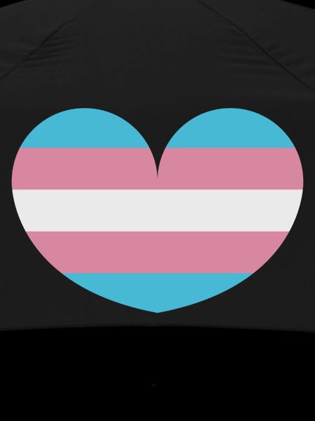 Trans heart flag